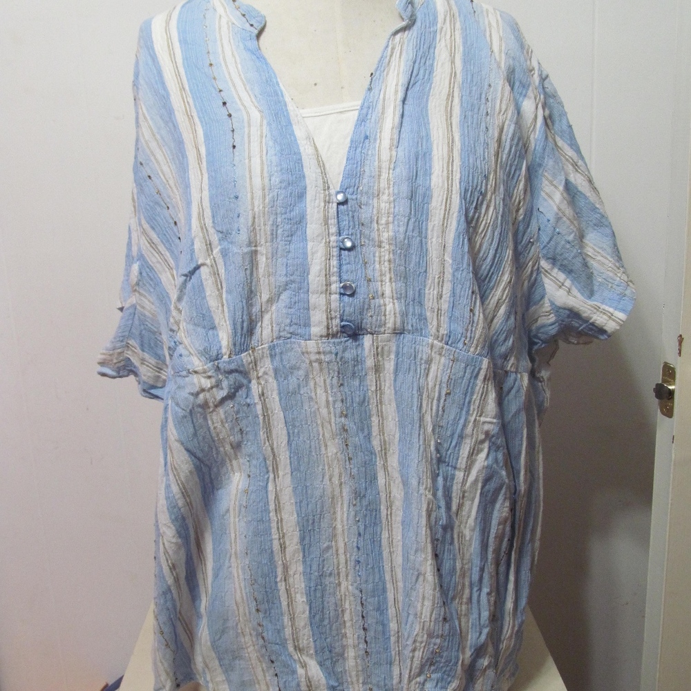 Liz & Me Blue/White Striped Short Sleeve Shirt 1x